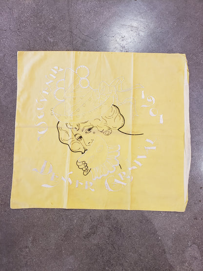 Denver Carnival Souvenir 1901 pillow cover