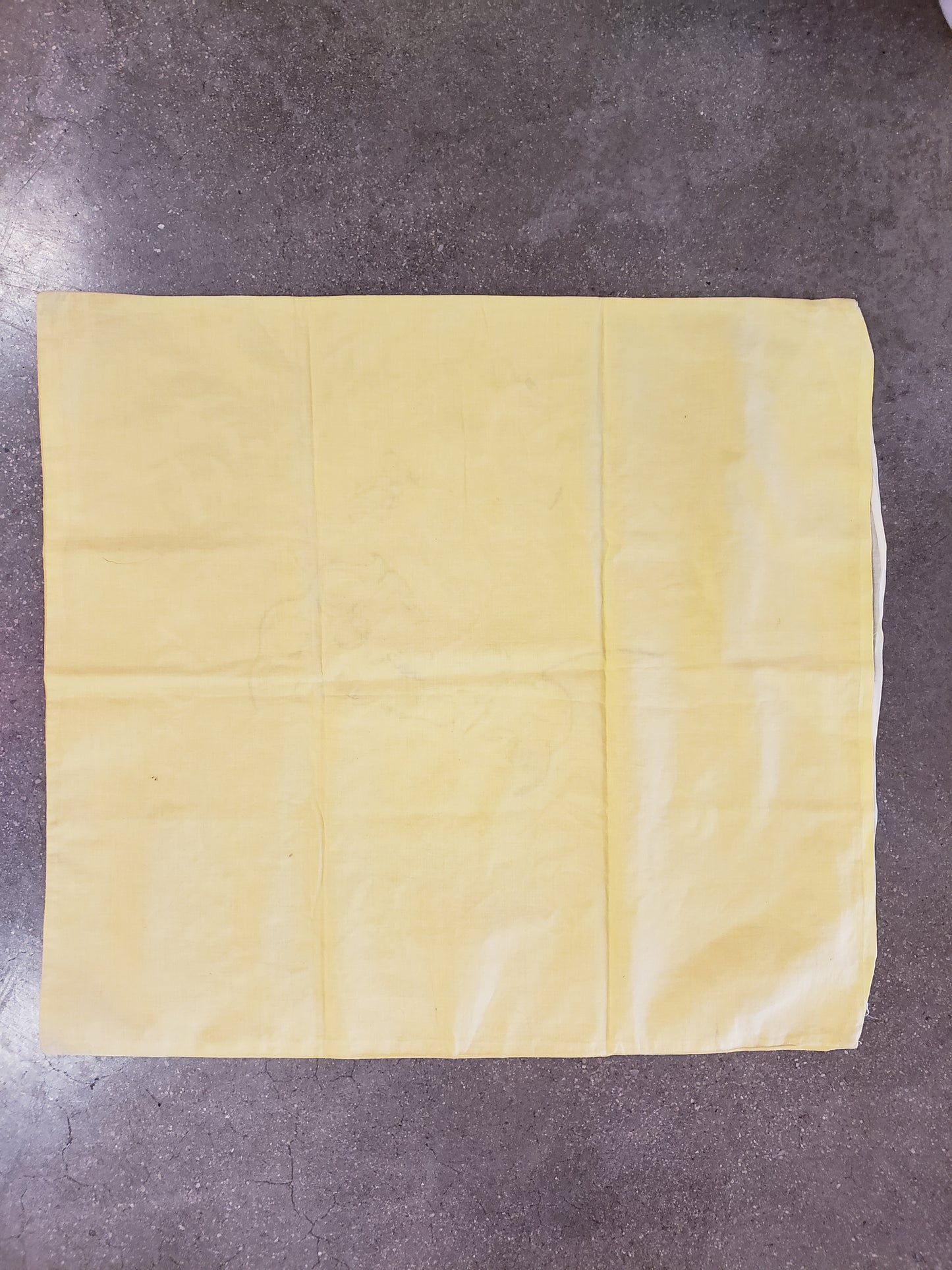 Denver Carnival Souvenir 1901 pillow cover