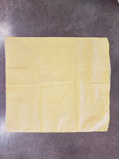 Denver Carnival Souvenir 1901 pillow cover