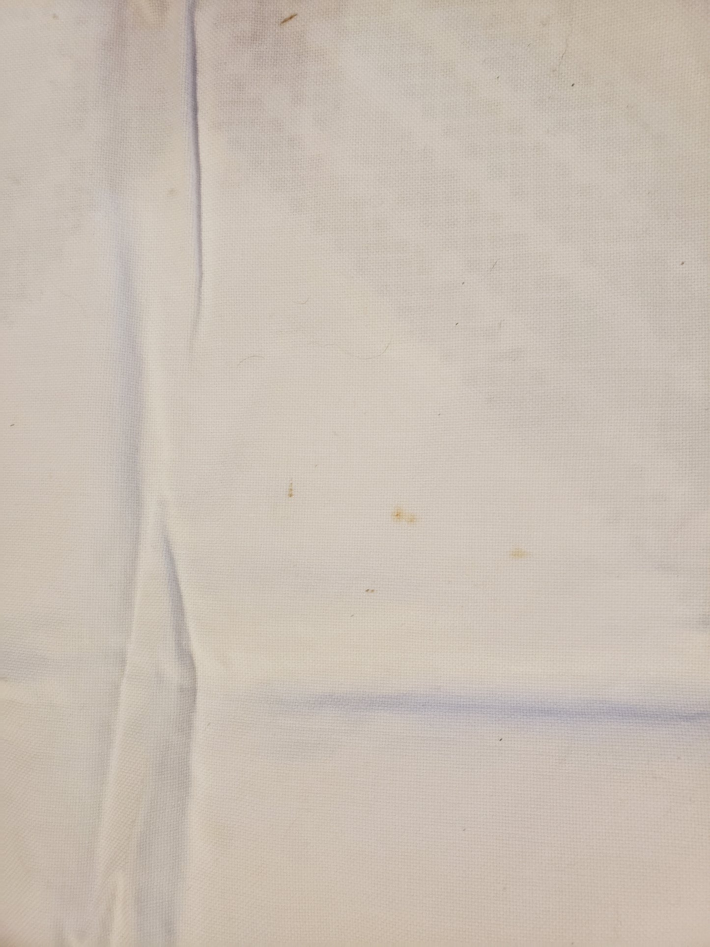 Embroidered "S" Vintage Lingerie Bag