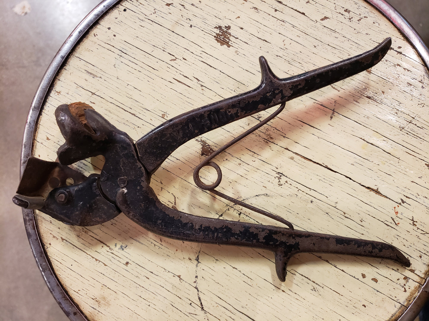 1900s ? Ear Notcher ? tool