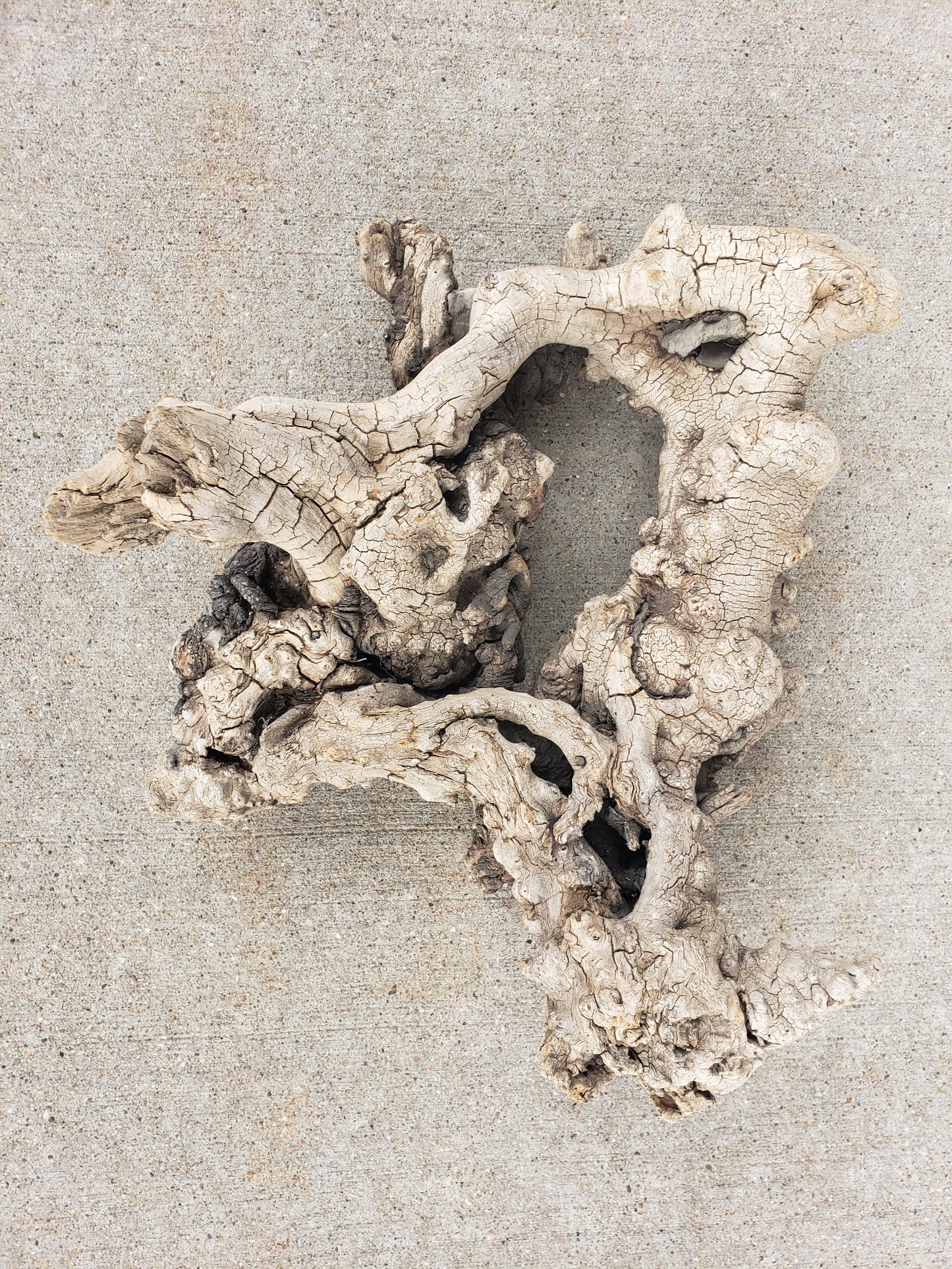 Driftwood sculpture with imbedded rocks