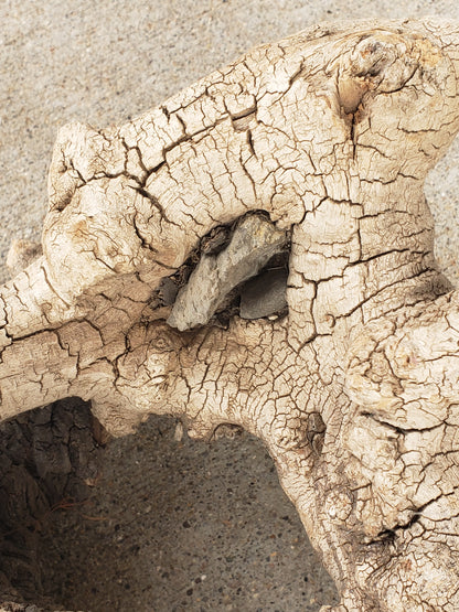 Driftwood sculpture with imbedded rocks