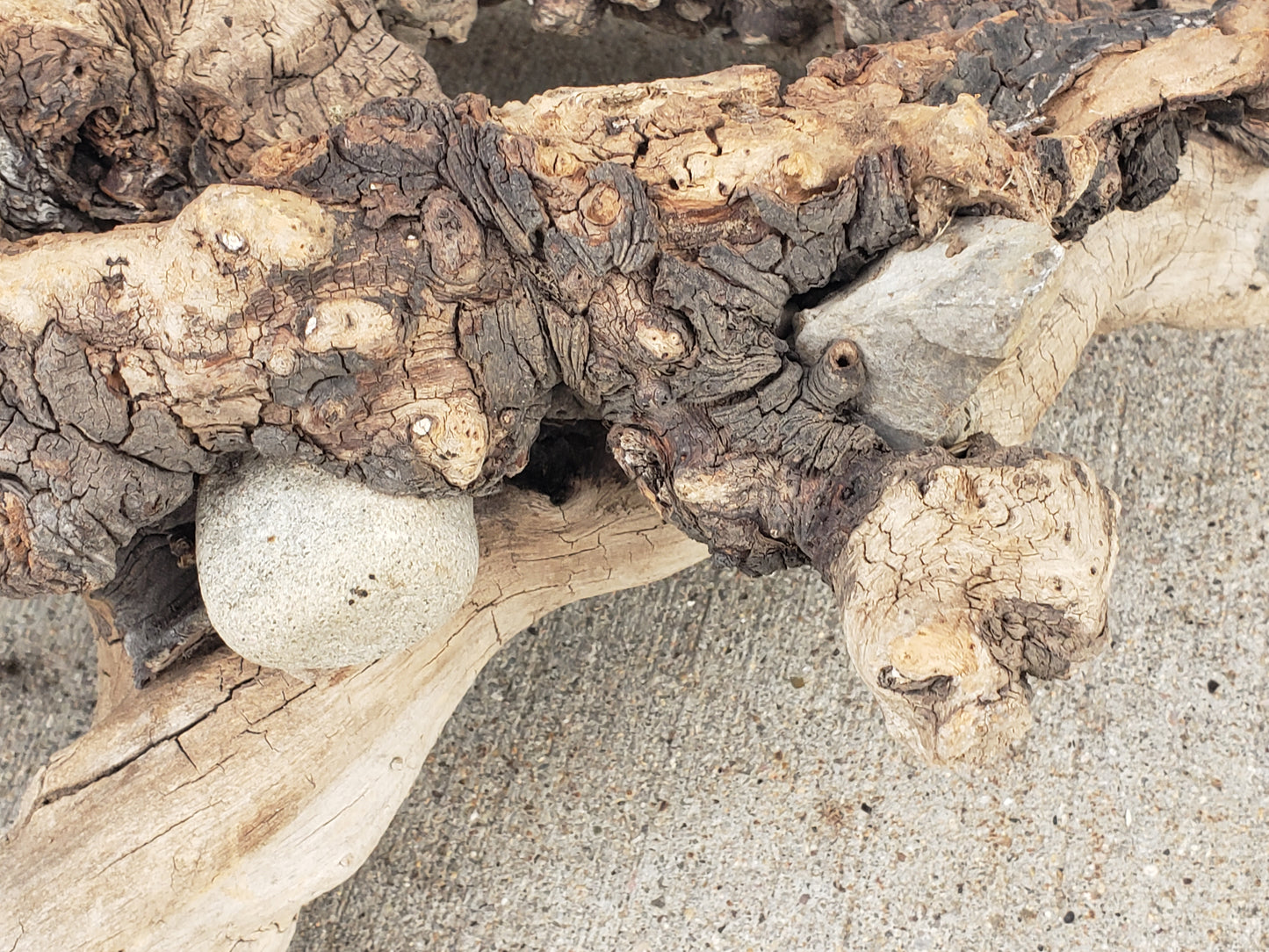 Driftwood sculpture with imbedded rocks