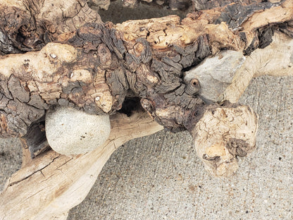 Driftwood sculpture with imbedded rocks