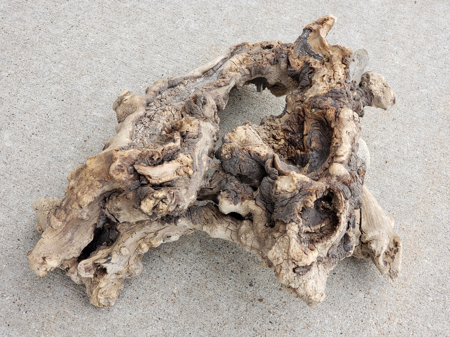 Driftwood sculpture with imbedded rocks
