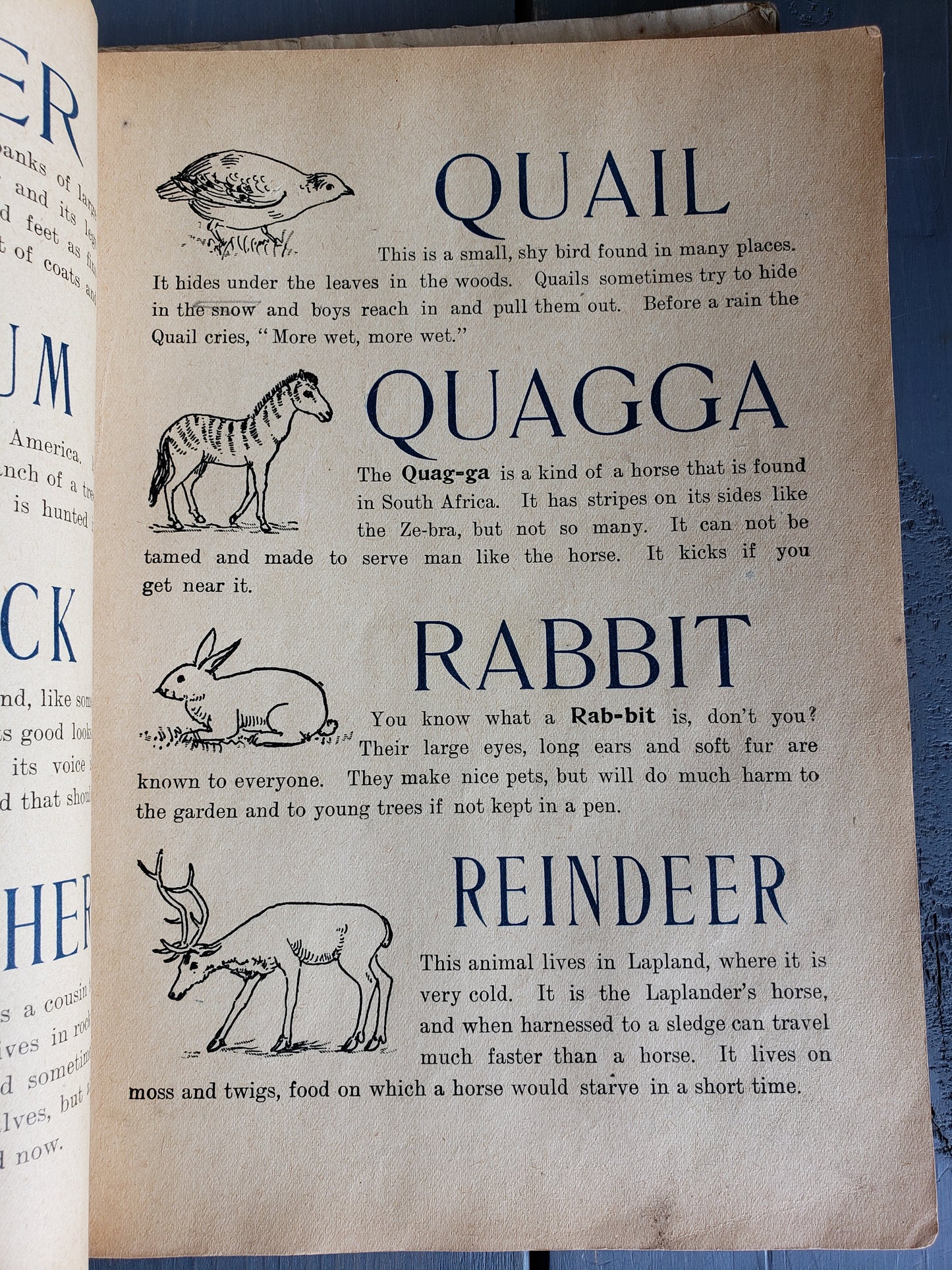 Our Baby's ABCs and Picture Book (1902)