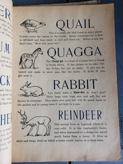 Our Baby's ABCs and Picture Book (1902)