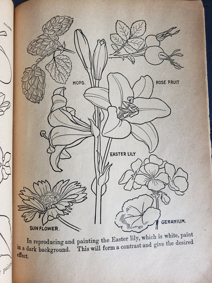 Our Baby's ABCs and Picture Book (1902)