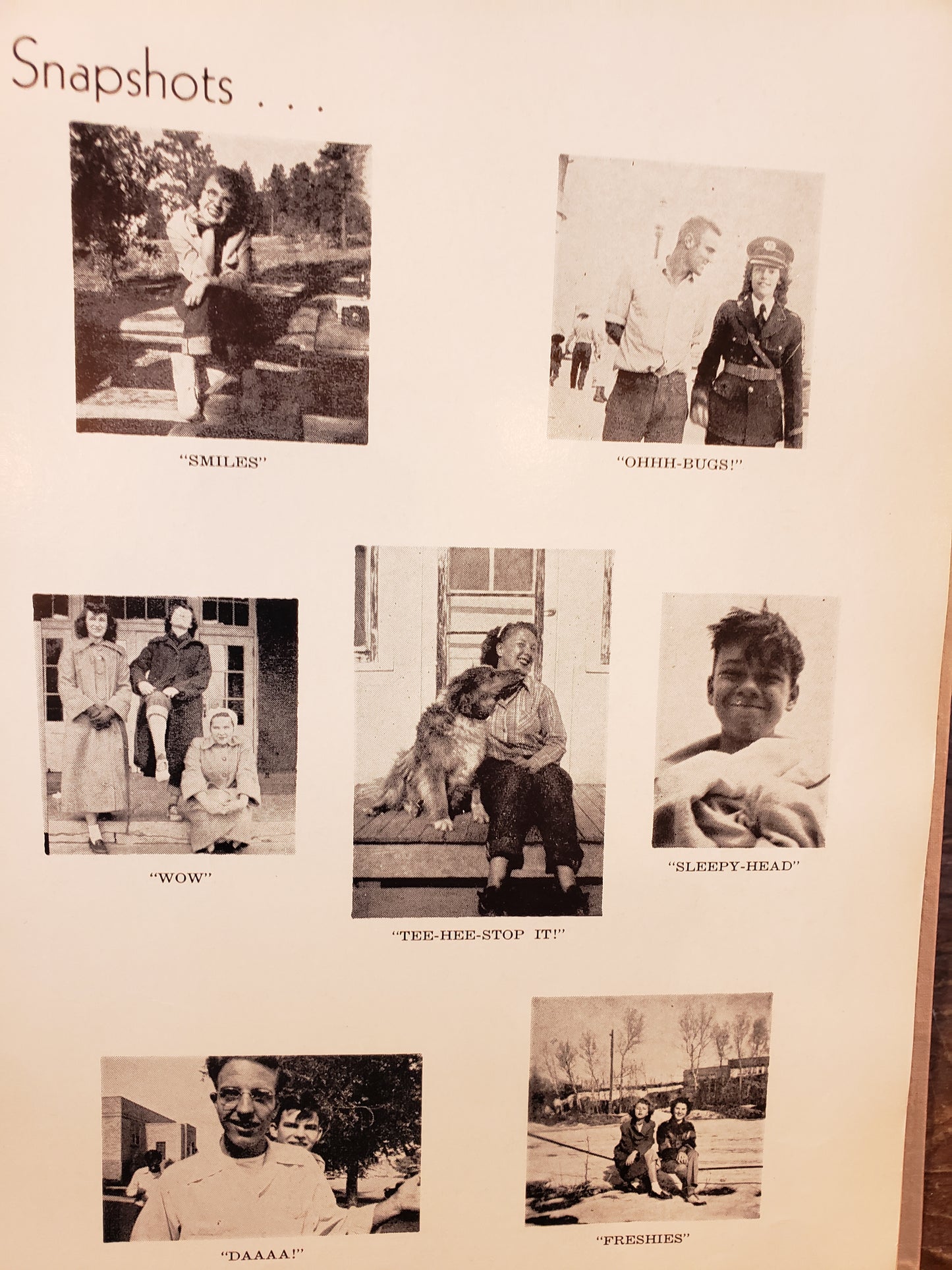 The 1950 CAMEL yearbook Campbell County High School, Gillette WY