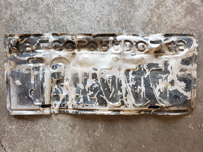 1949 Colorado license plate 13T444