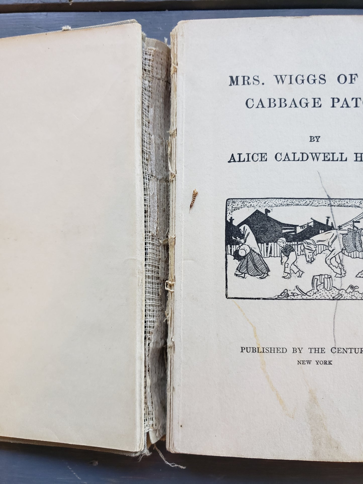 Mrs. Wiggs of the Cabbage Patch (1901)