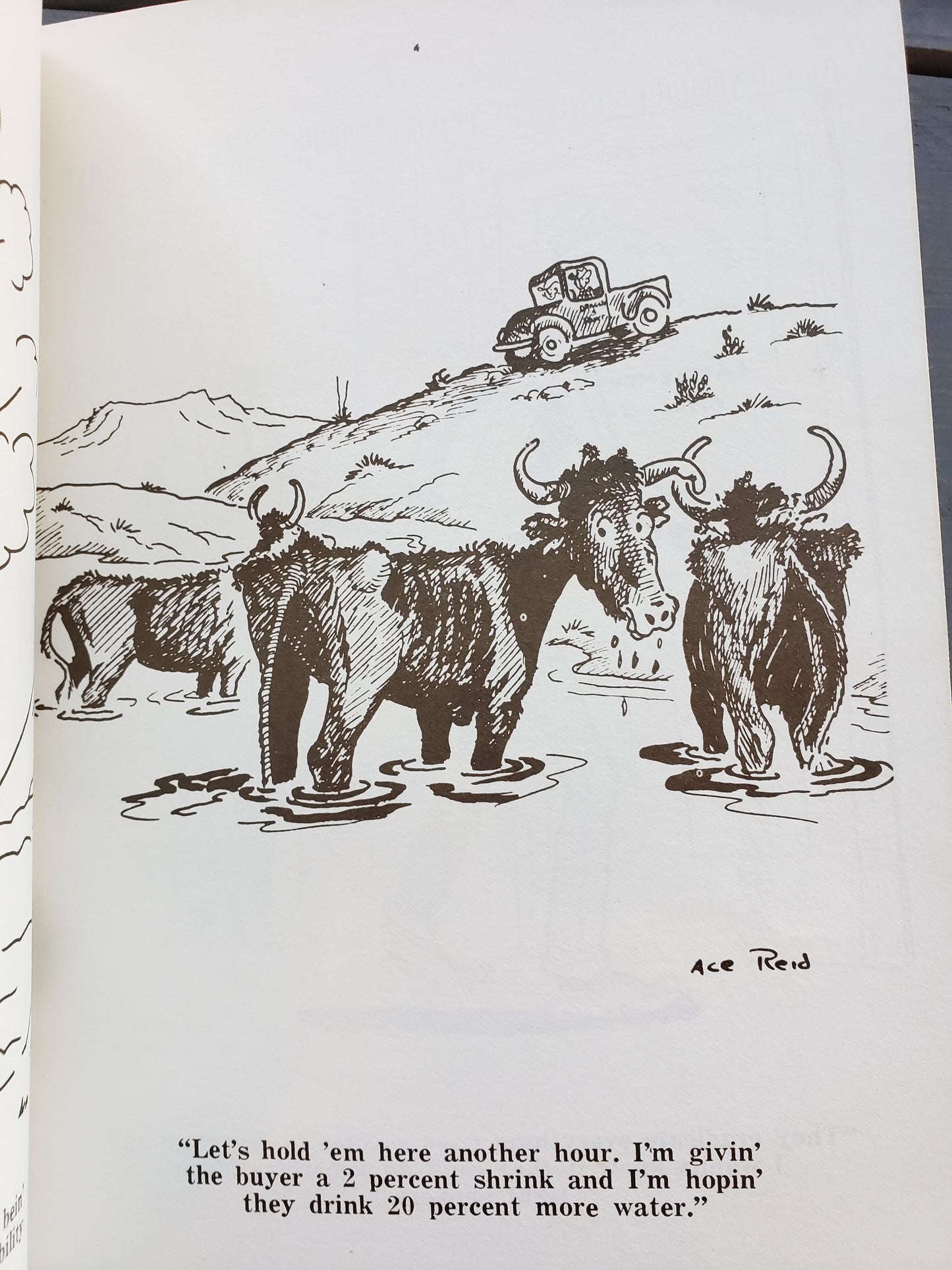 Draggin' S Ranch Cowpokes by Ace Reid (1966)