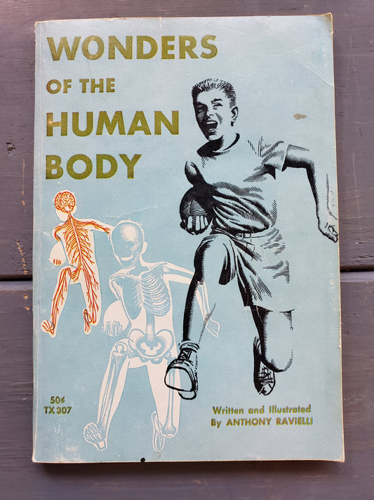 The Wonders of the Human Body (1966)