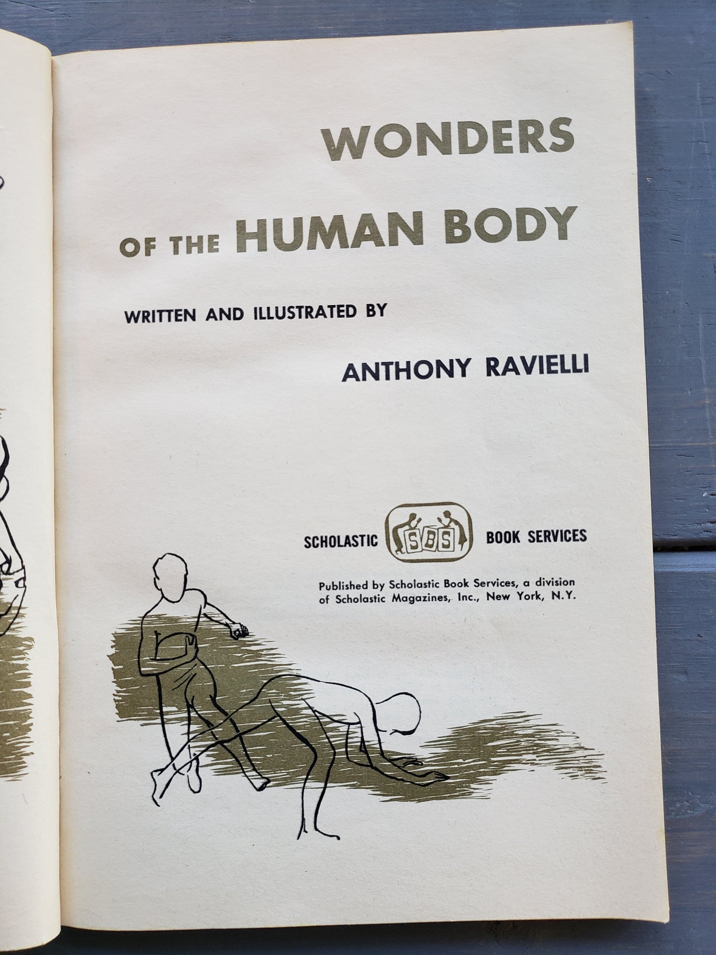 The Wonders of the Human Body (1966)