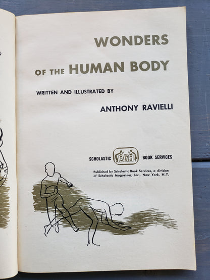 The Wonders of the Human Body (1966)