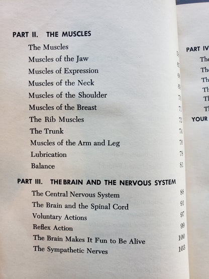 The Wonders of the Human Body (1966)