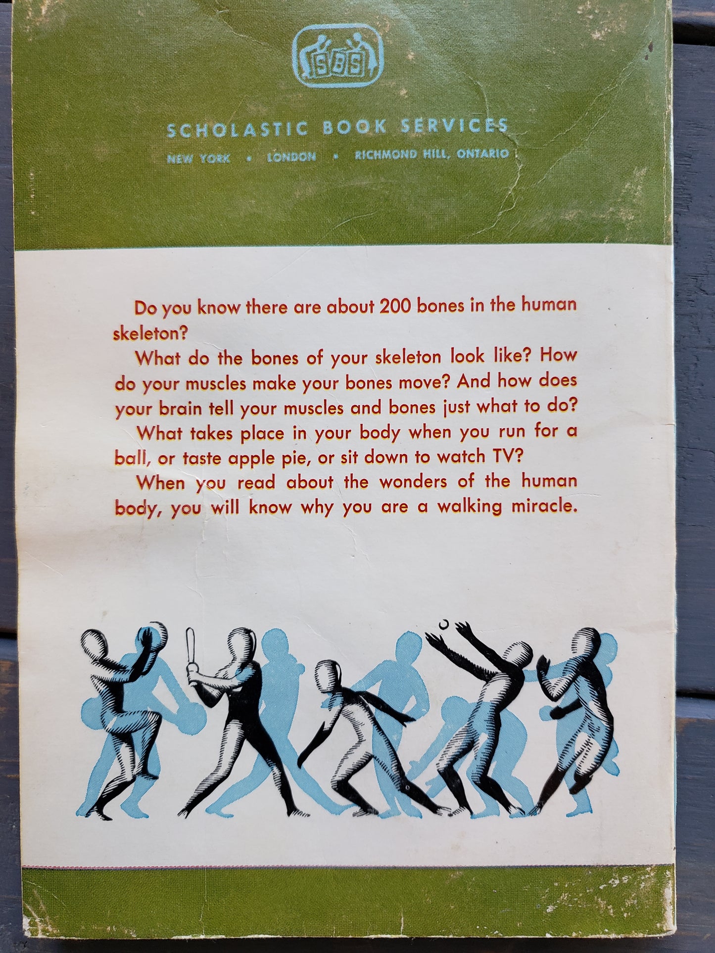 The Wonders of the Human Body (1966)