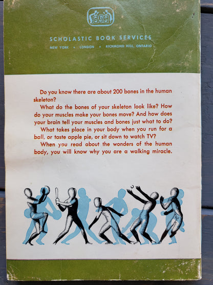 The Wonders of the Human Body (1966)