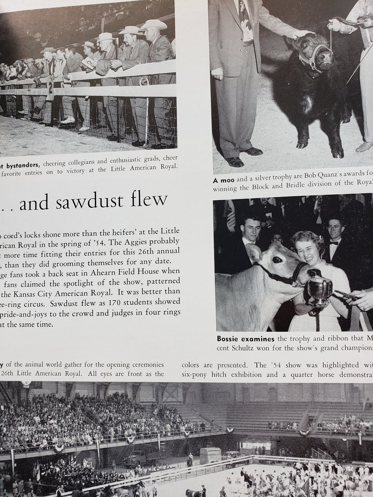 1955 Kansas State College yearbook "Royal Purple"