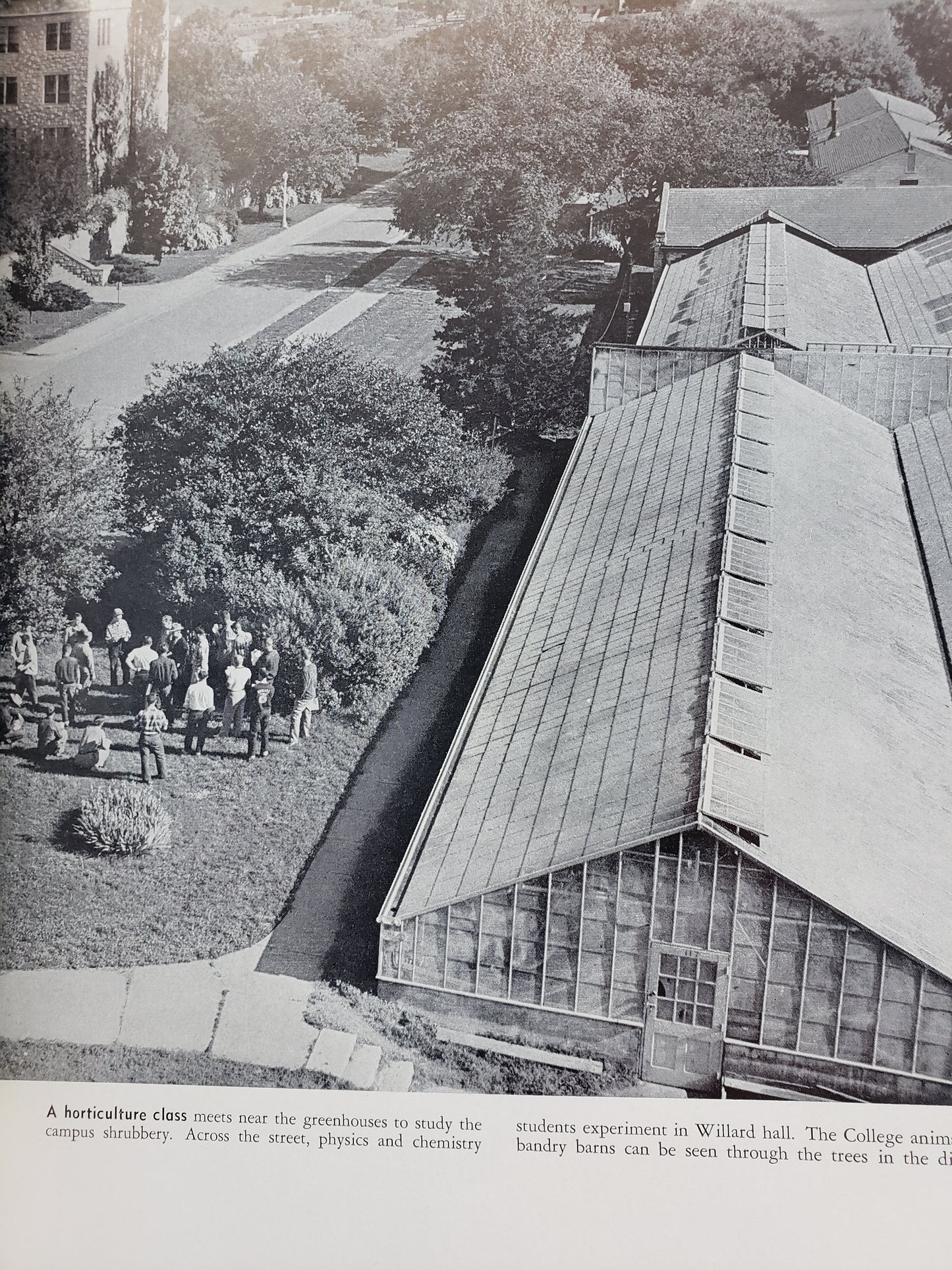 1953 Kansas State College yearbook "Royal Purple"