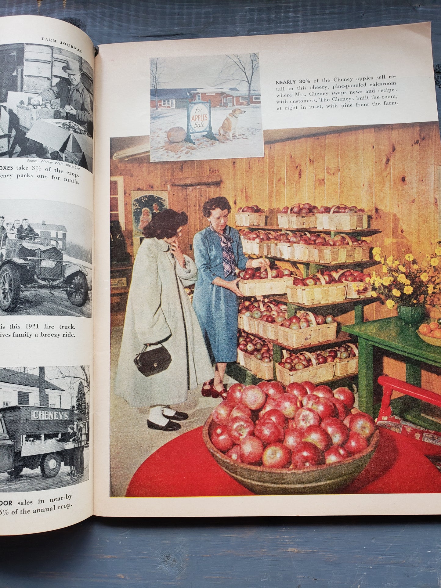 Farm Journal and Country Gentleman Oct 1956