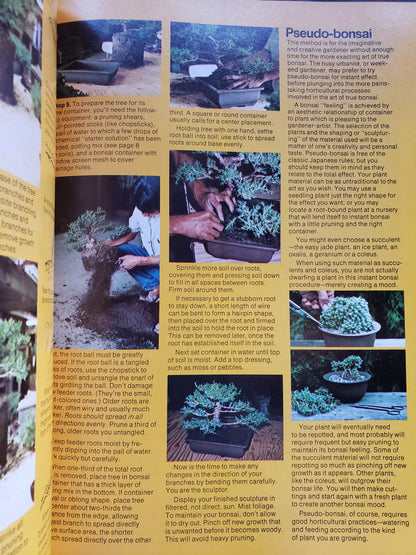 Container and Hanging Gardens (1976)