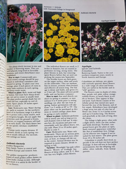 All About Perennials by Ortho Books