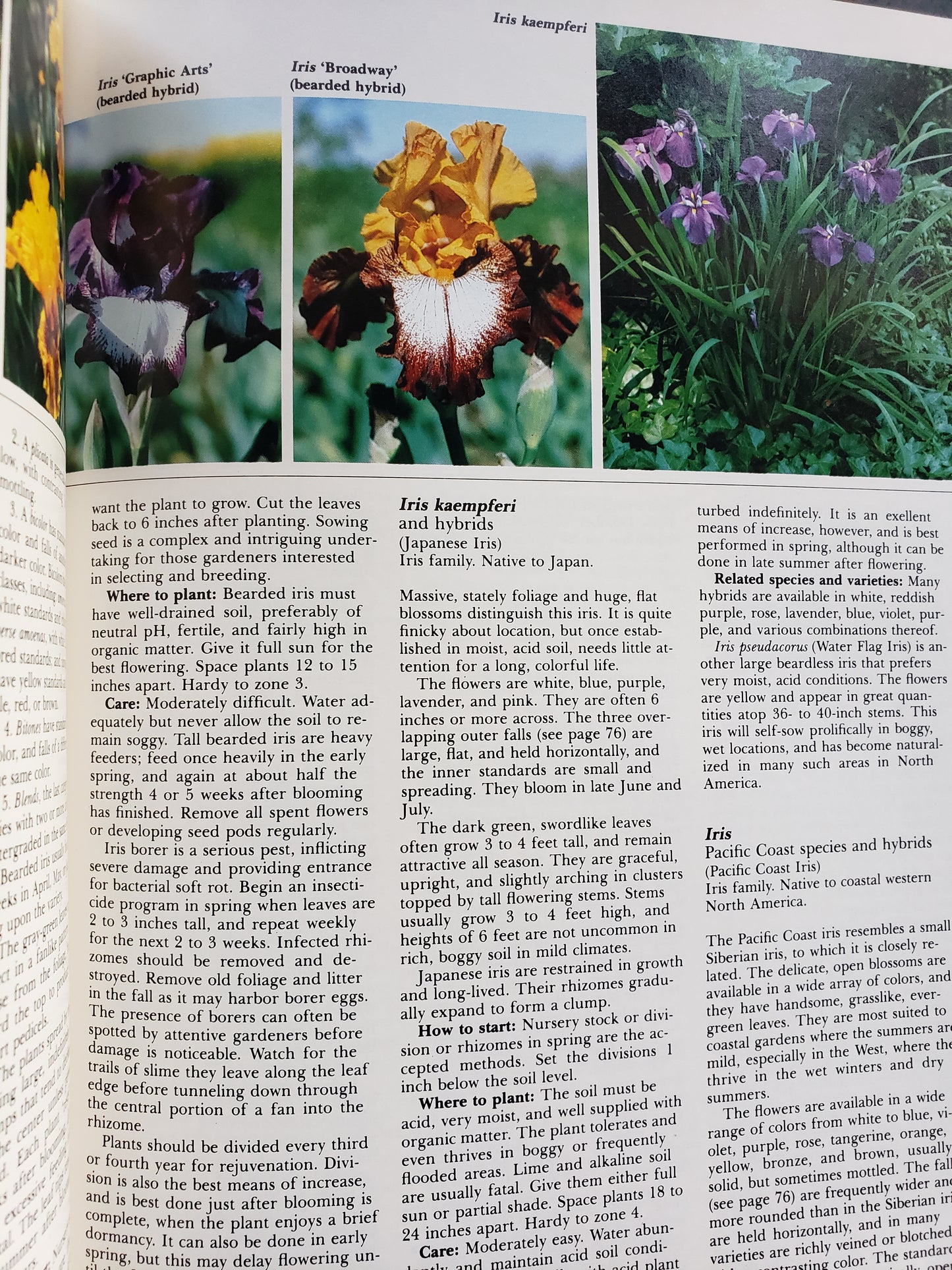 All About Perennials by Ortho Books