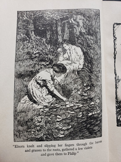 A Girl of Limberlost by Gene Stratton Porter (1912)