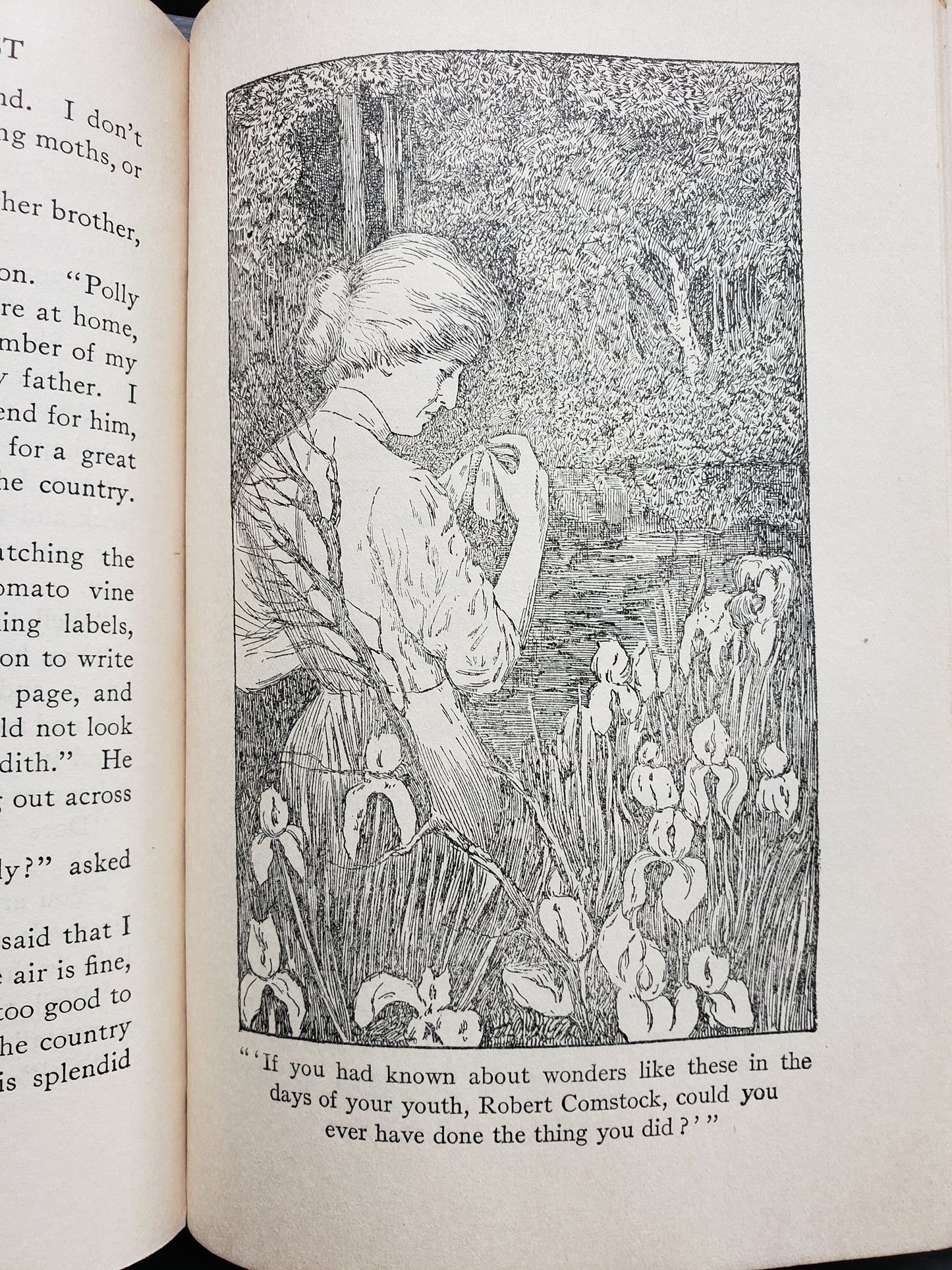 A Girl of Limberlost by Gene Stratton Porter (1912)