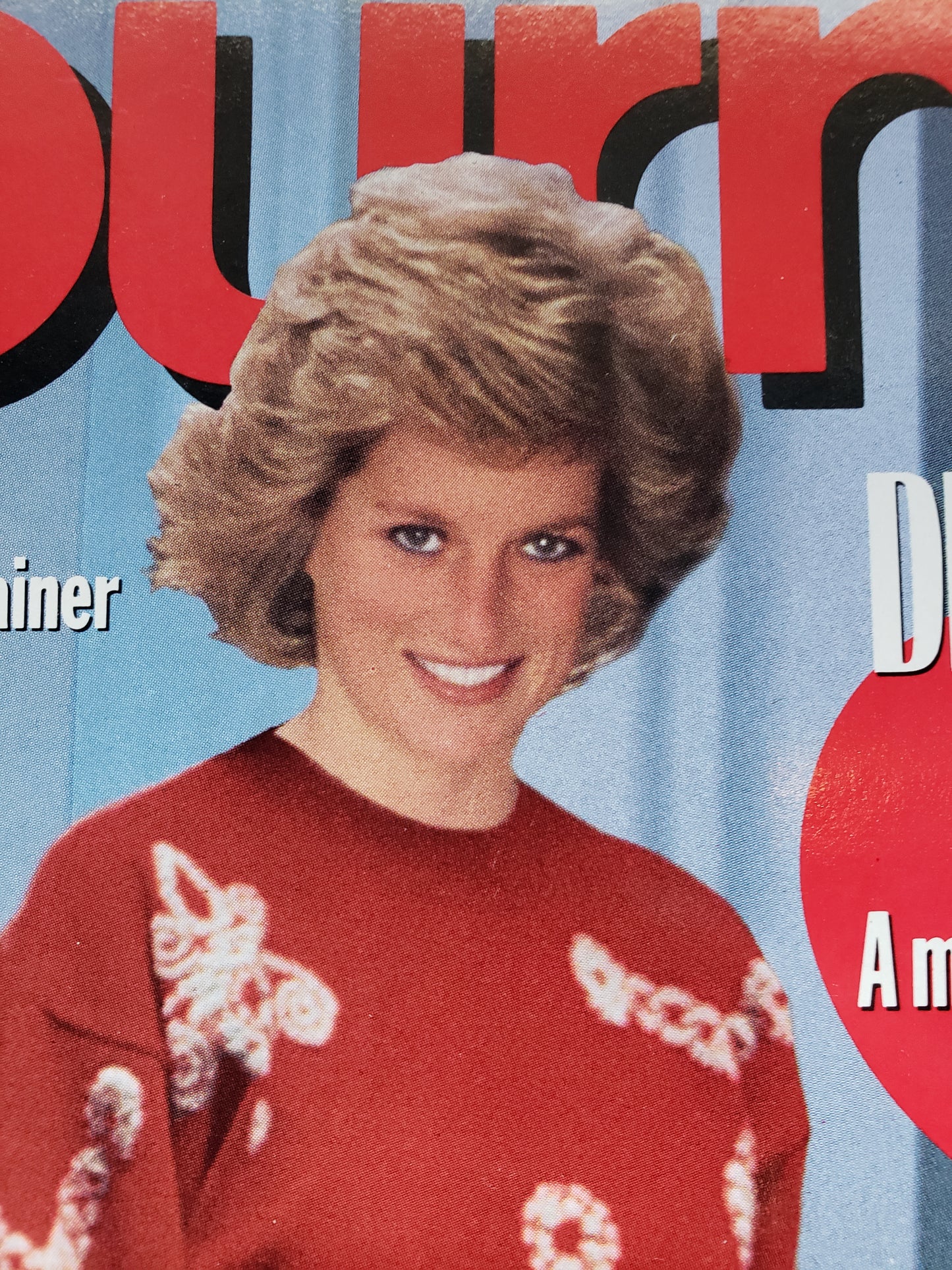 Ladies' Home Journal Feb. 1990 Princess Diana