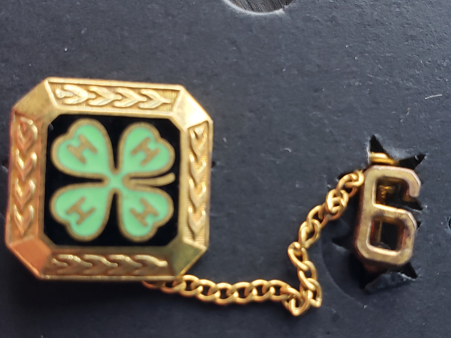 1/20 10Kgf 4H Pin vintage