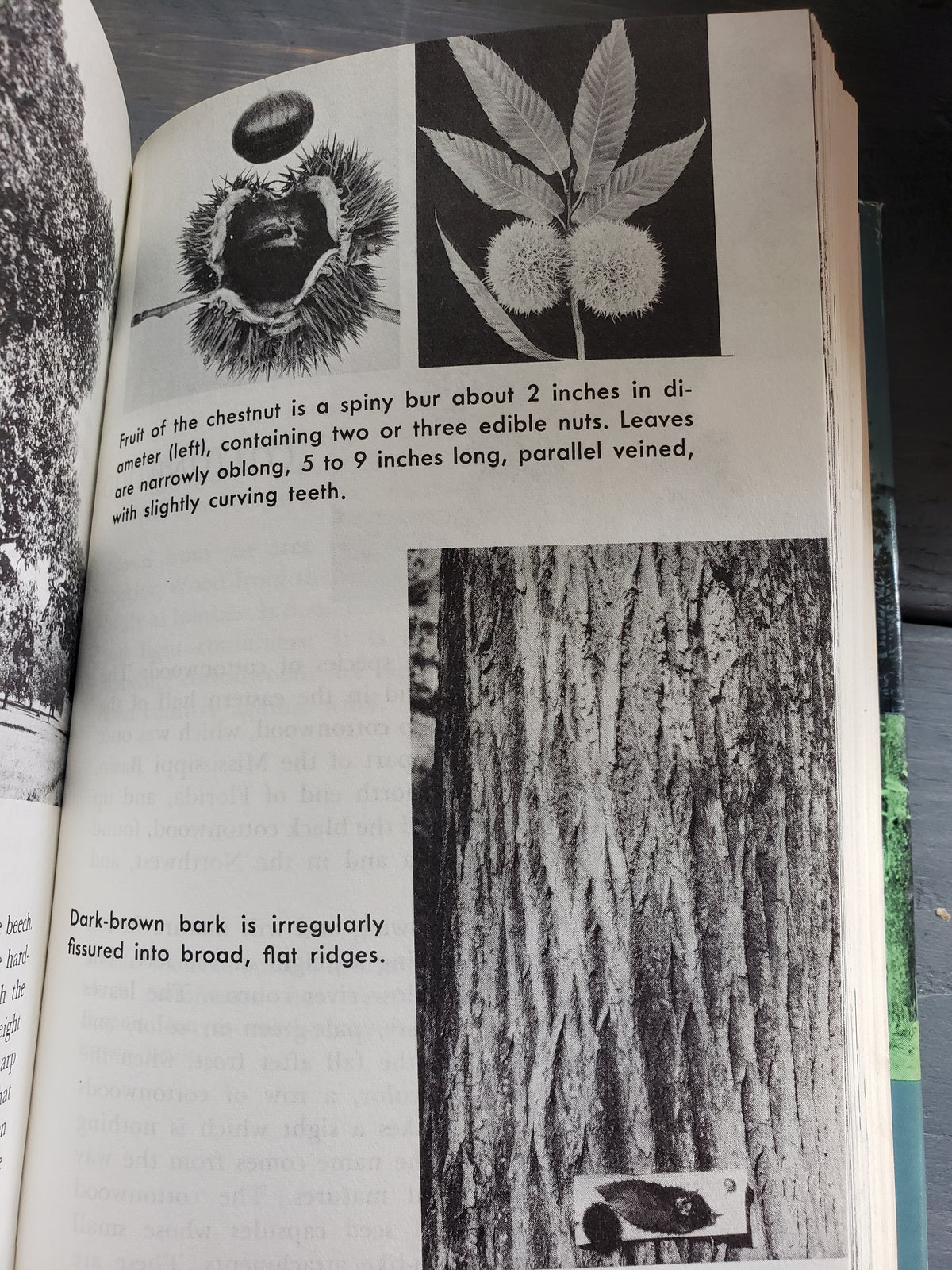 Complete Book of Outdoor Lore (1964)
