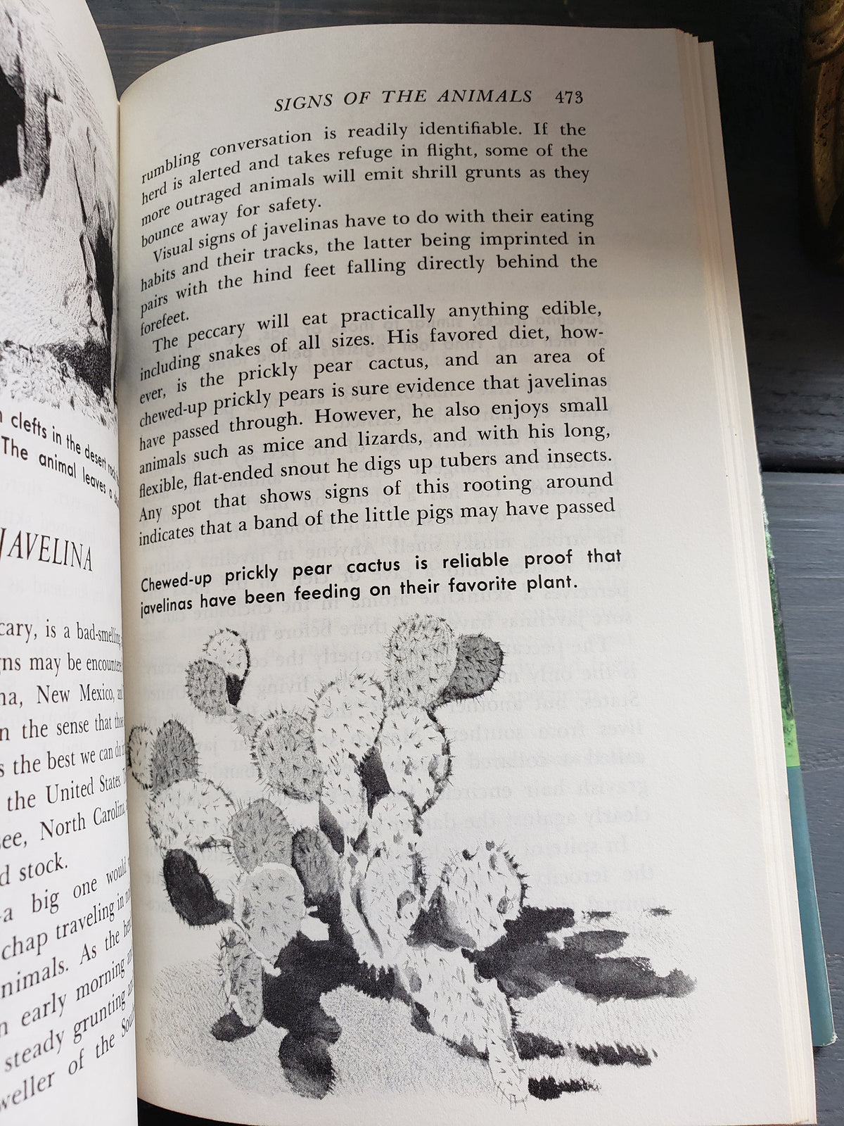 Complete Book of Outdoor Lore (1964)