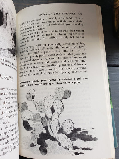 Complete Book of Outdoor Lore (1964)