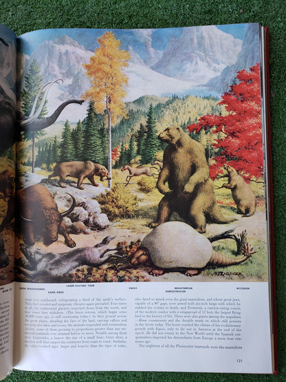 The World We Live In (1955) LIFE