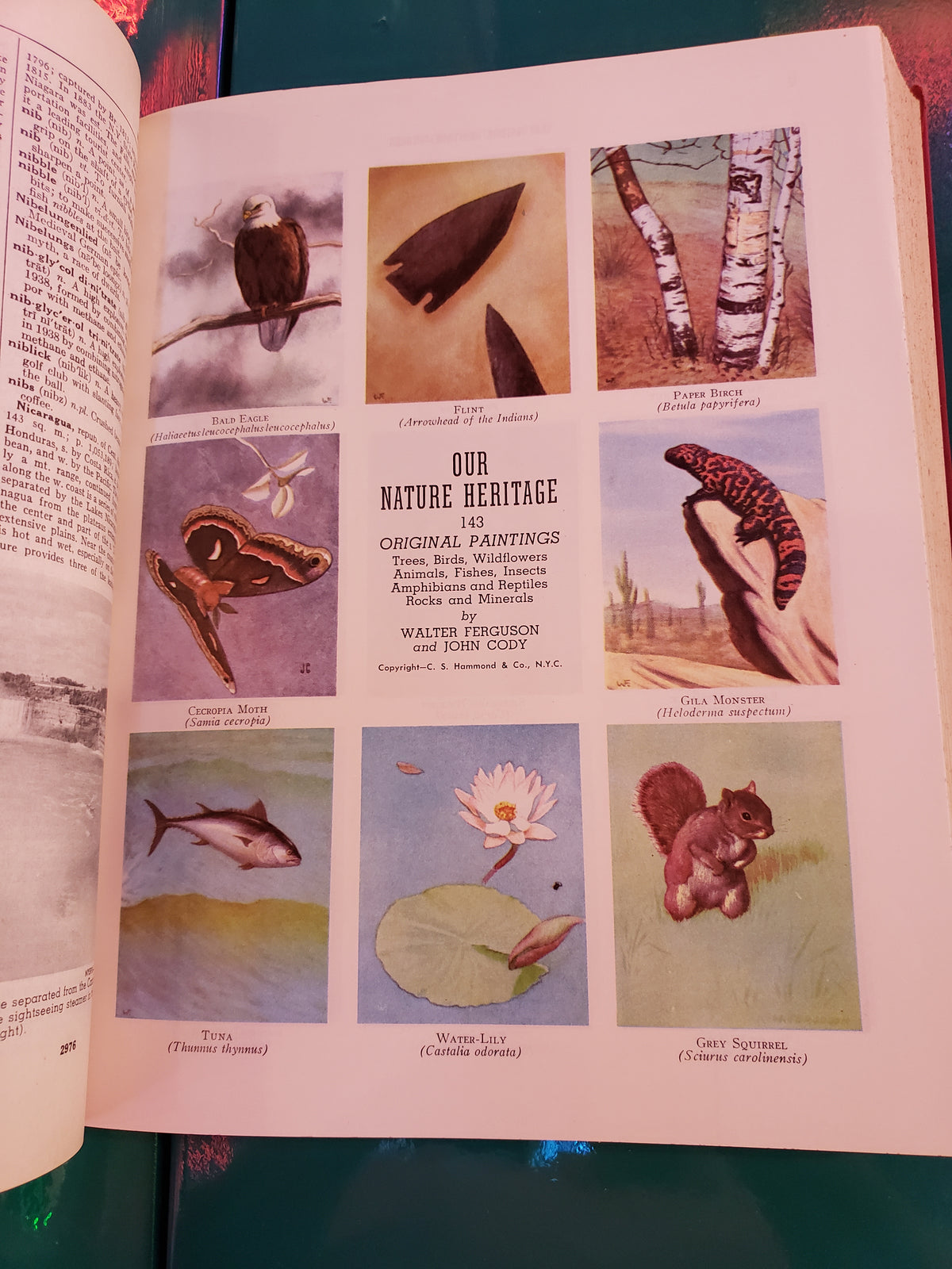 Webster's Unified Dictionary & Encyclopedia (1954)