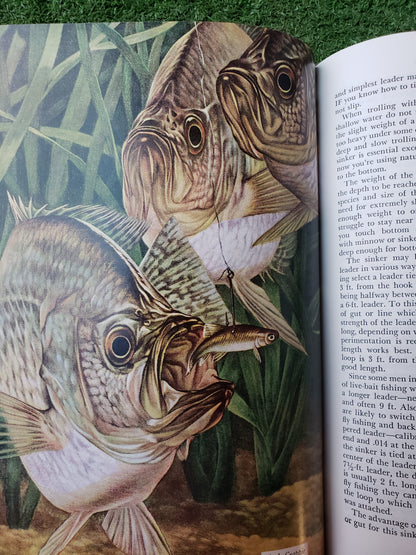 Sportsman's Encyclopedia by Outdoor Life (1956)