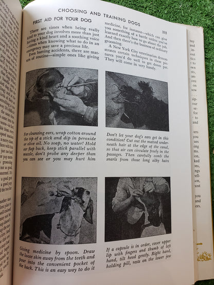 Sportsman's Encyclopedia by Outdoor Life (1956)