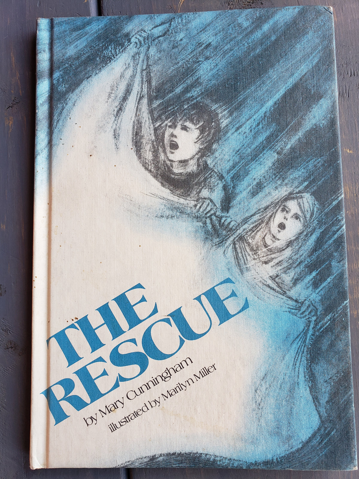 The Rescue by Mary Cunningham (1978)
