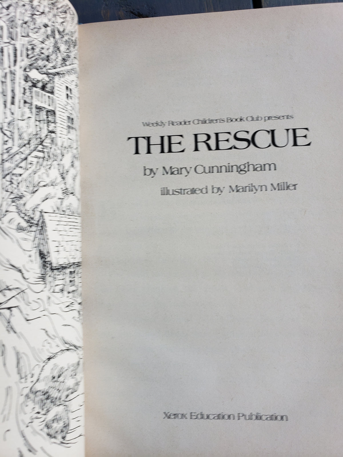 The Rescue by Mary Cunningham (1978)
