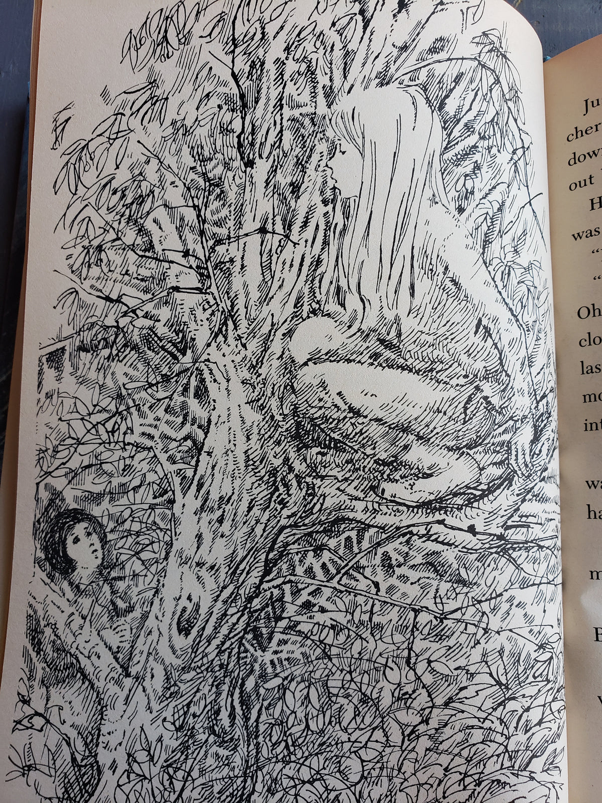 The Rescue by Mary Cunningham (1978)