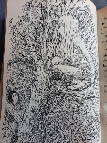 The Rescue by Mary Cunningham (1978)