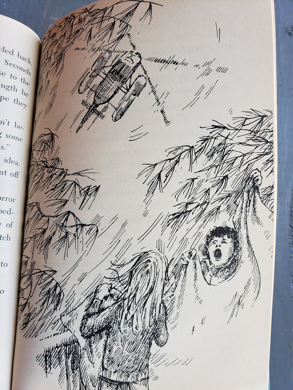 The Rescue by Mary Cunningham (1978)