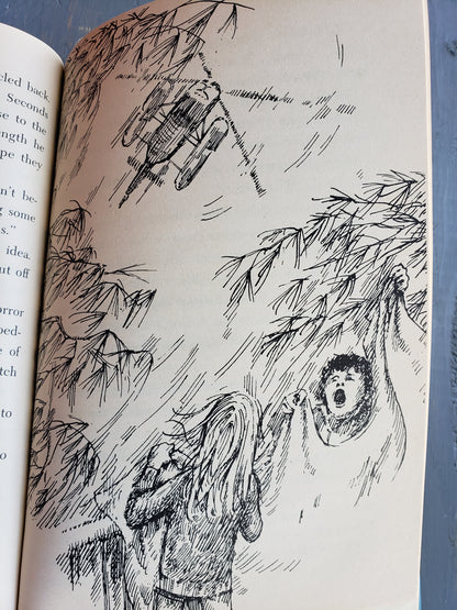 The Rescue by Mary Cunningham (1978)
