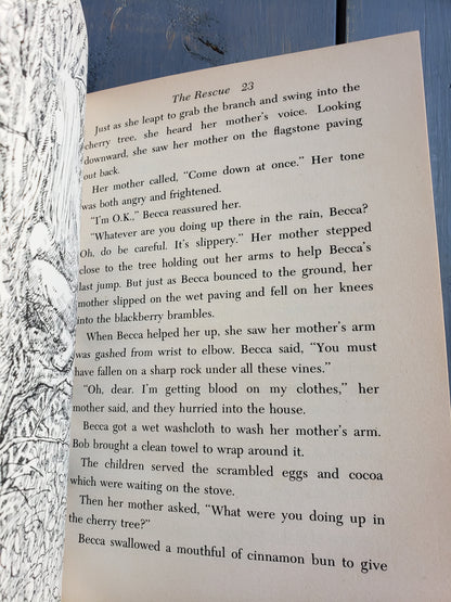 The Rescue by Mary Cunningham (1978)