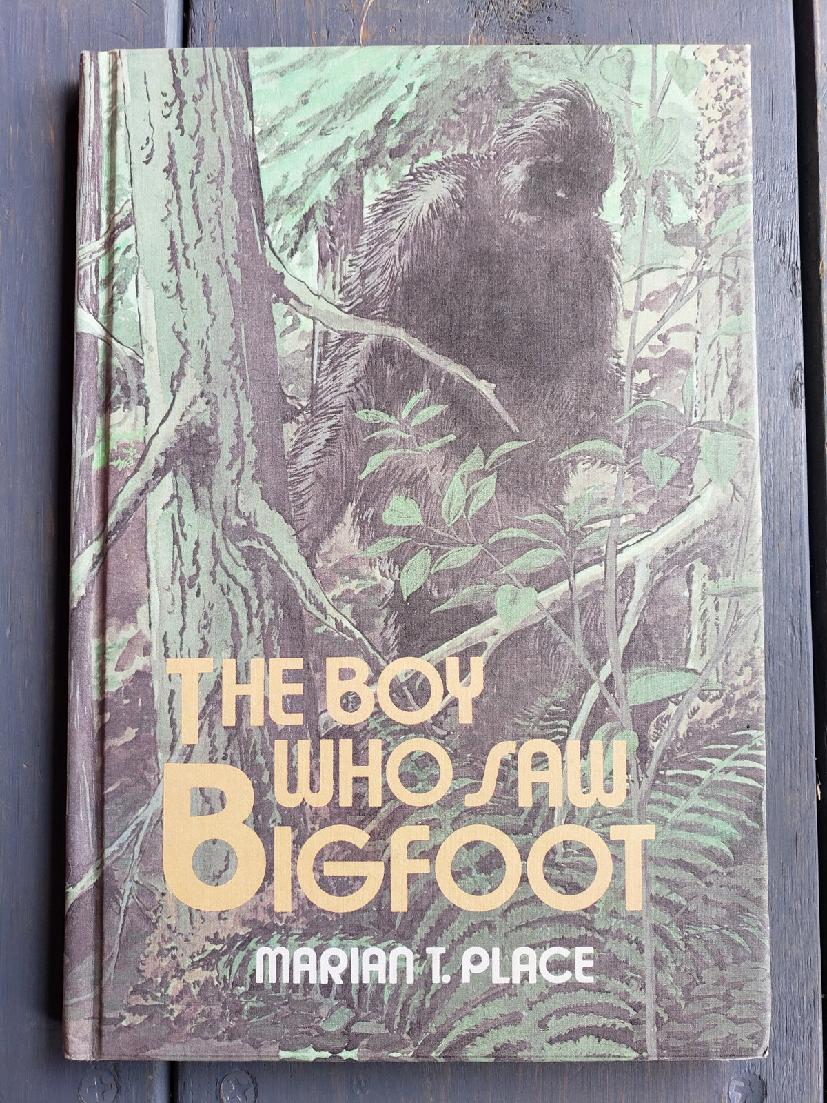The Boy Who Saw Bigfoot by Marian T. Place (1979)