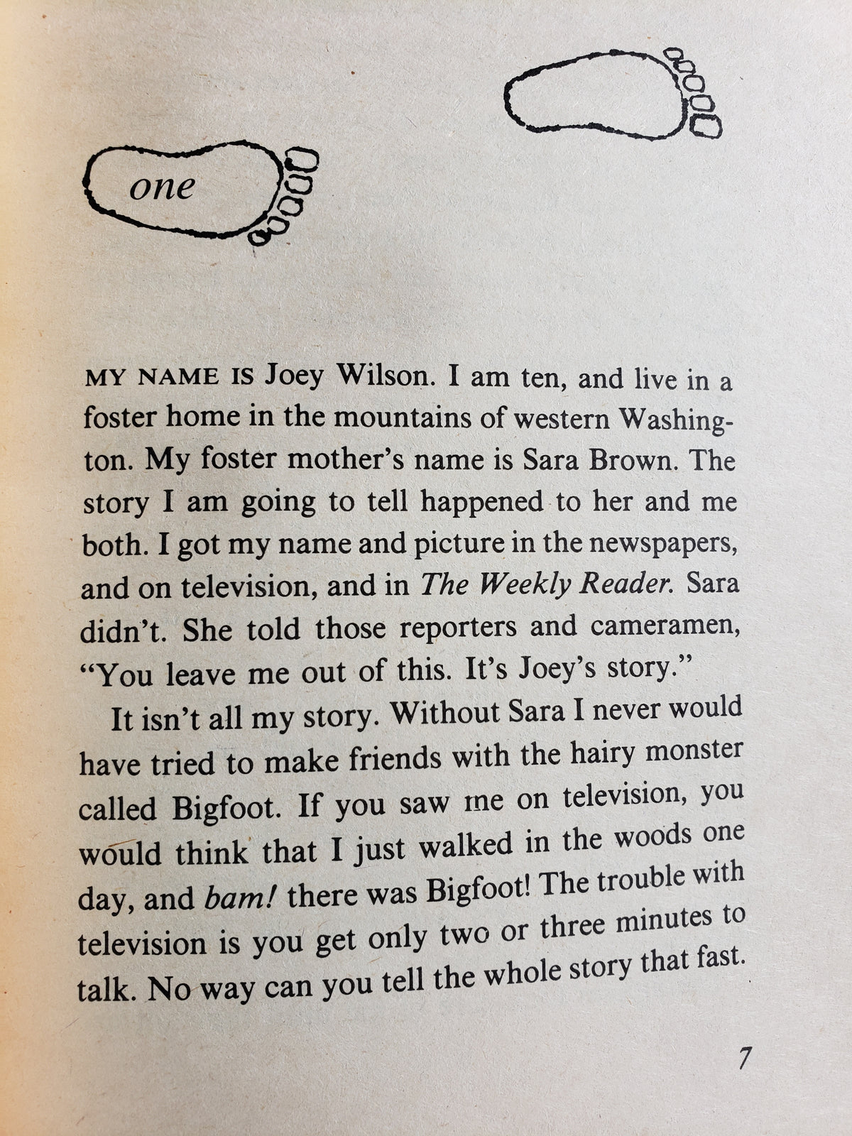 The Boy Who Saw Bigfoot by Marian T. Place (1979)