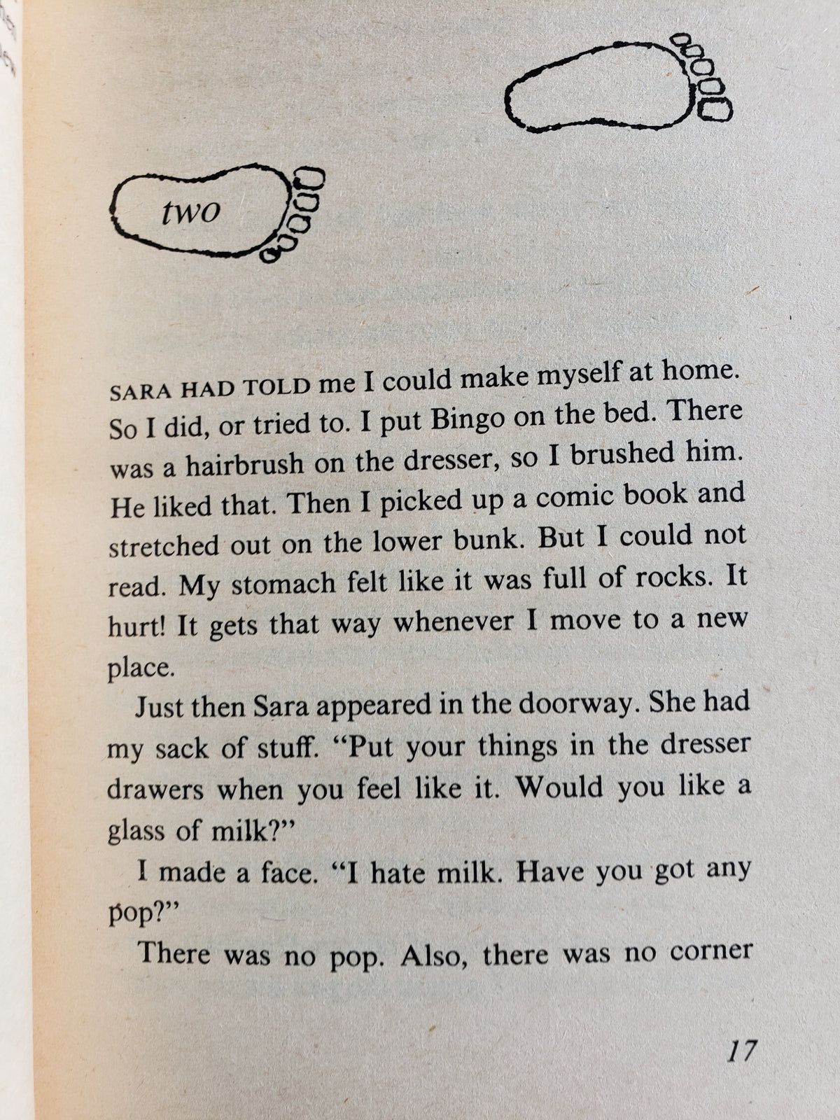 The Boy Who Saw Bigfoot by Marian T. Place (1979)